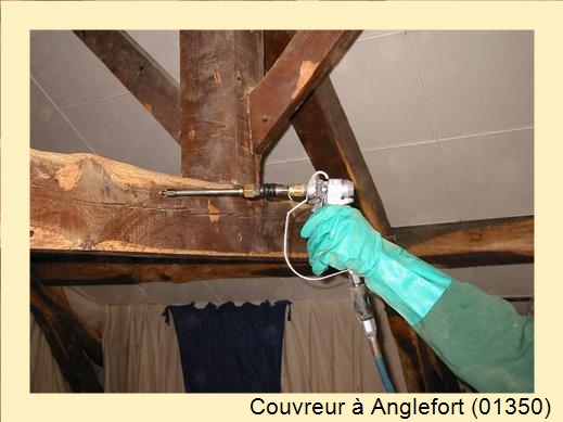 Charpentier à Anglefort (01350)
