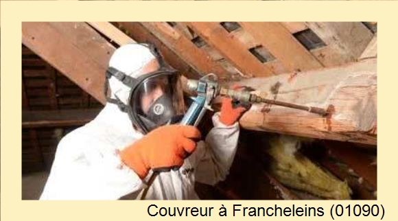 Artisan charpentier à Francheleins (01090)
