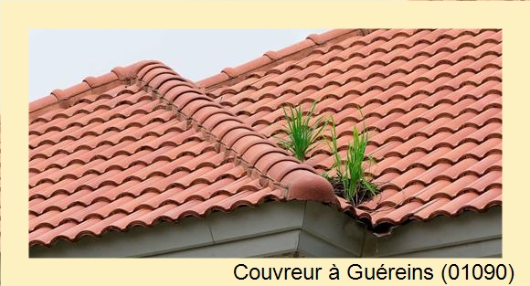 ¨Travaux toiture à Guéreins (01090)