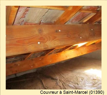 Artisan charpentier à Saint-Marcel (01390)